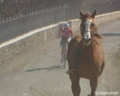 Dolle boel in Siena: Vollering rekent af met loslopend paard en ploeggenote Kopecky in Strade Bianche
