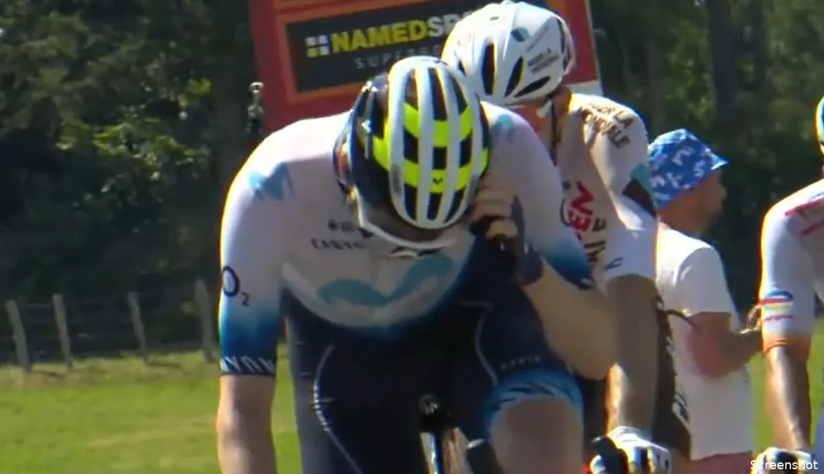 🎥 Volgend jaar bij killer bees van Jumbo-Visma, maar Jorgenson wordt in Tourkopgroep gestoken door een bij