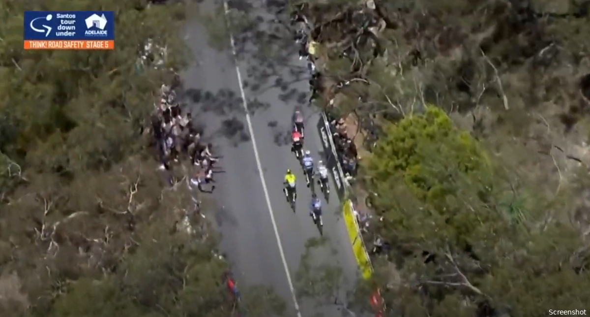 🎥 Summary of stage 5 Tour Down Under 2024: Onley outsmarts Alaphilippe and Narvaez on Willunga Hill!
