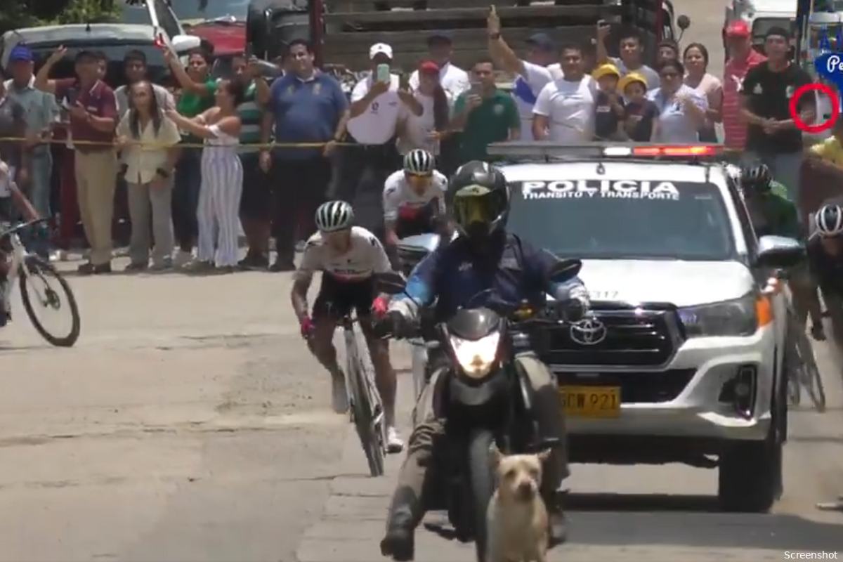 🎥Who let the dogs out? Losgeslagen hond animeert massasprint in Colombiaanse rittenkoers met vluchterspoging