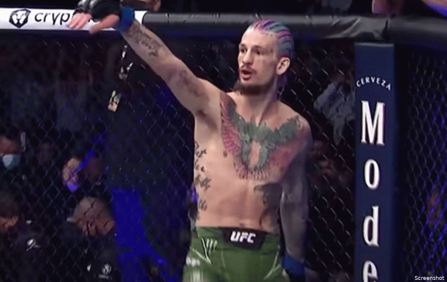 'Francis Ngannou schiet zichzelf in de voet!' UFC nieuws alert en meer...