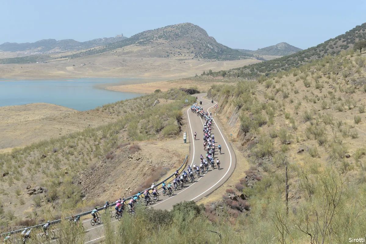 VACATURE: Valkering Media is op zoek naar een junior parttime marketeer