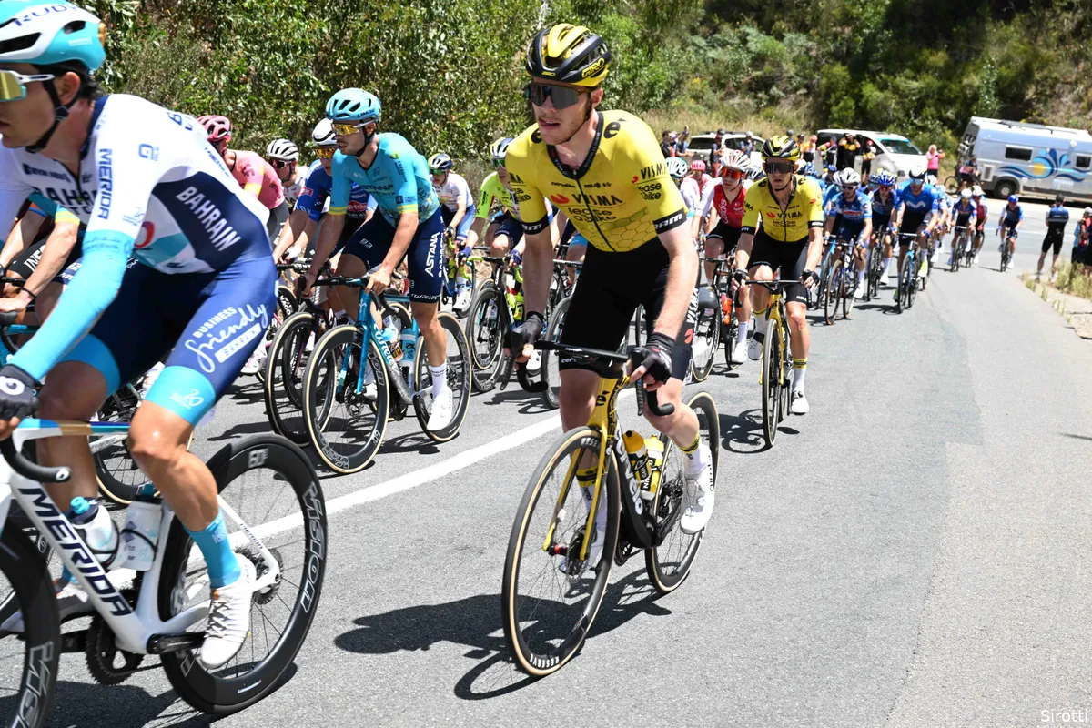 johannes staune mittet