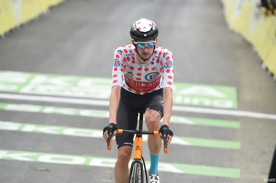 Wout Poels