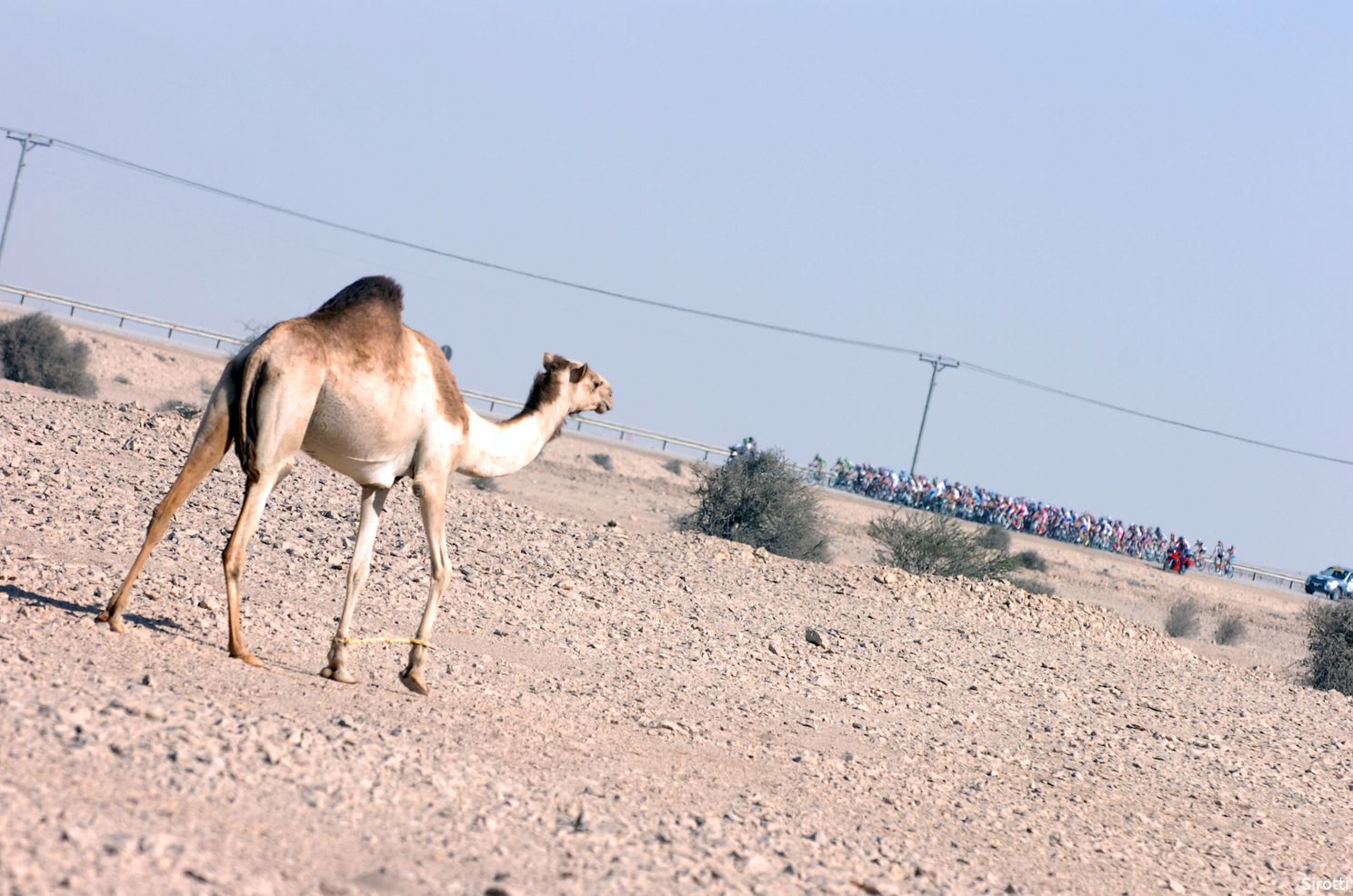 Column: Een schandalig WK in Qatar, waar heb ik dat toch eerder gezien?