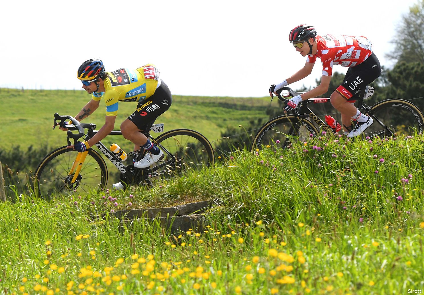 Vijf talking points na het Baskenland: Rogla vs Poga, Vingegaard, Valverde, Bauke en Wilco