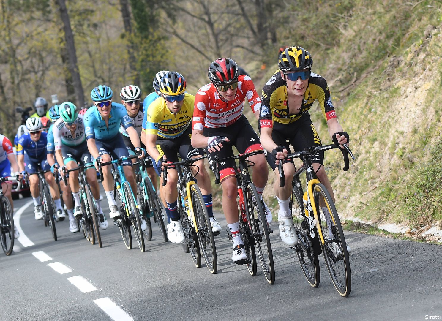 Vijf talking points na het Baskenland: Rogla vs Poga, Vingegaard, Valverde, Bauke en Wilco