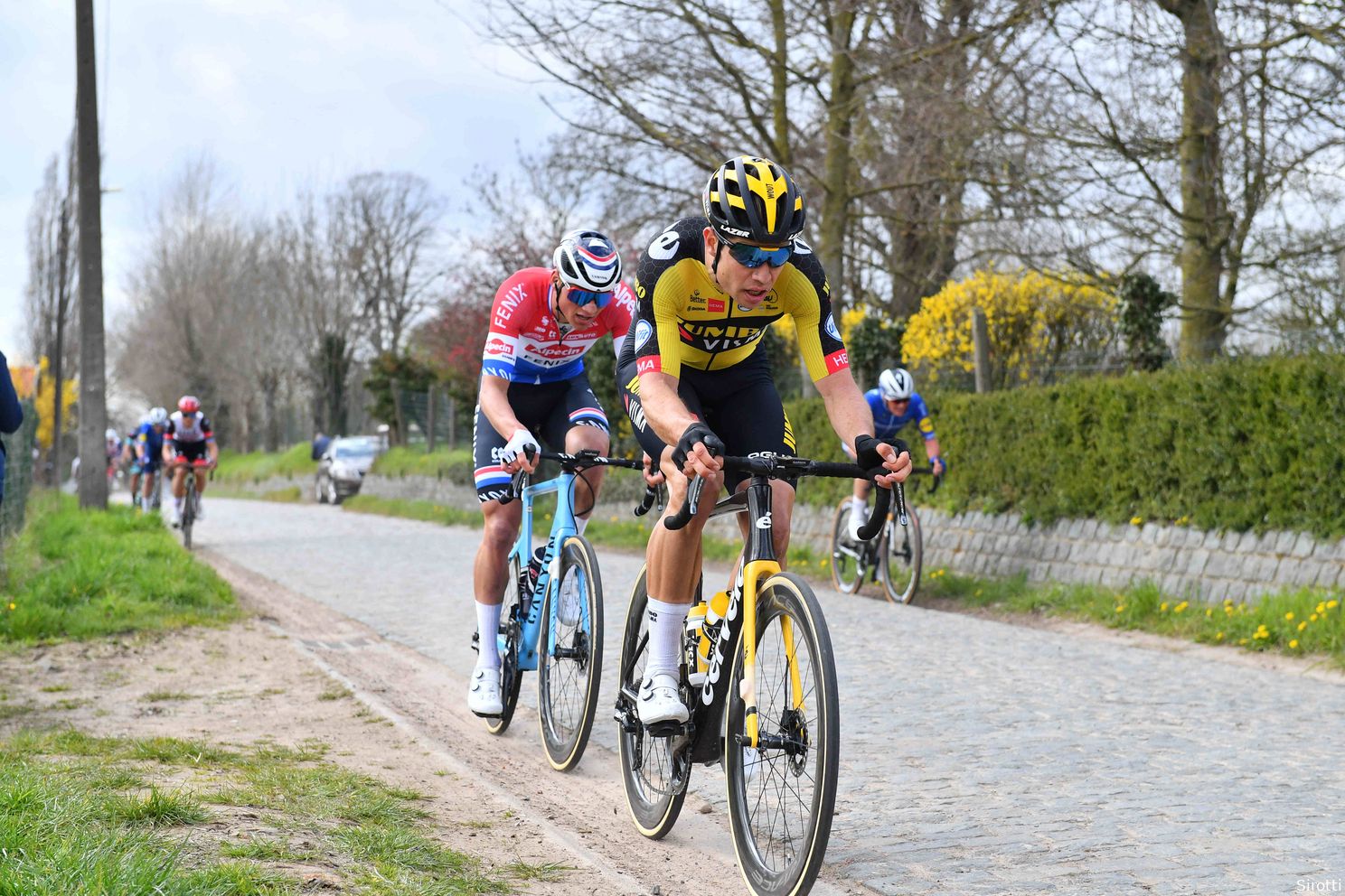 Van der Poel kijkt naar Van Aert, Mohoric denkt aan Colbrelli: Wat zeggen favorieten Parijs-Roubaix?