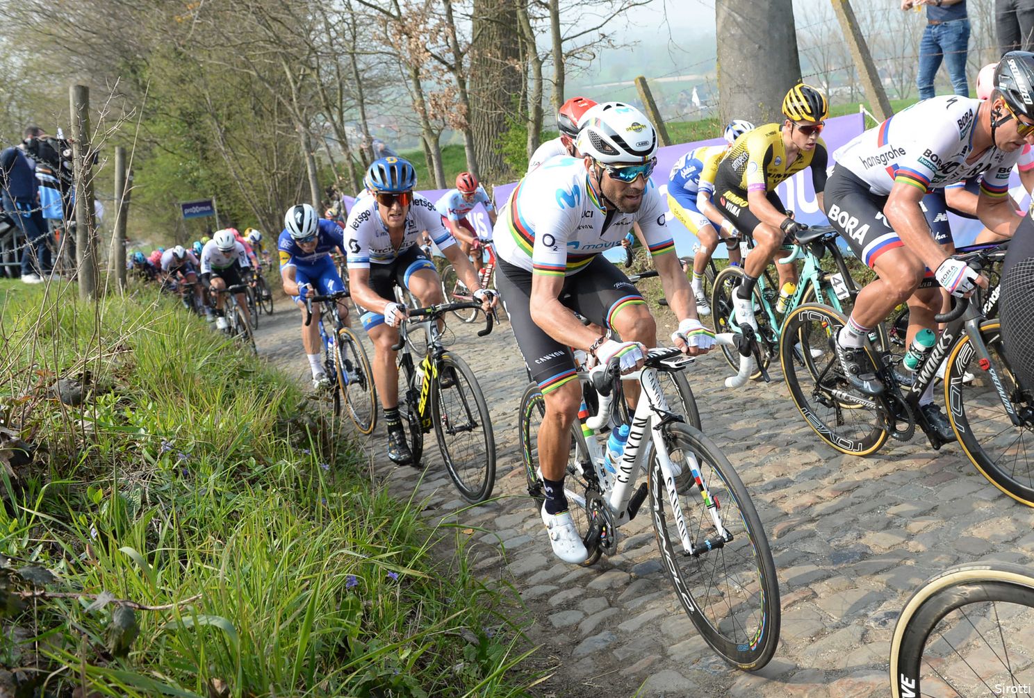 Pogacar in Vlaanderen: wat is de Tourwinnaar in potentie waard op de stenen?