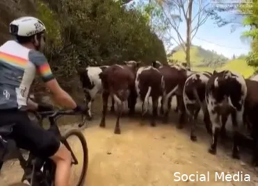 Ten Dam gaat lekker in Colombiaanse gravelrace: 'Het is net de Tour de France van 1915'