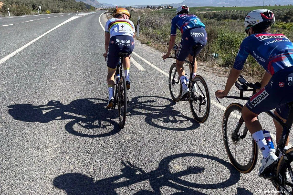 evenepoel lecerf serry