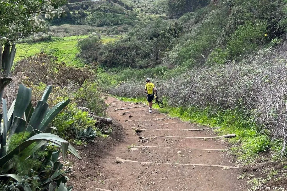 wout van aert tenerife