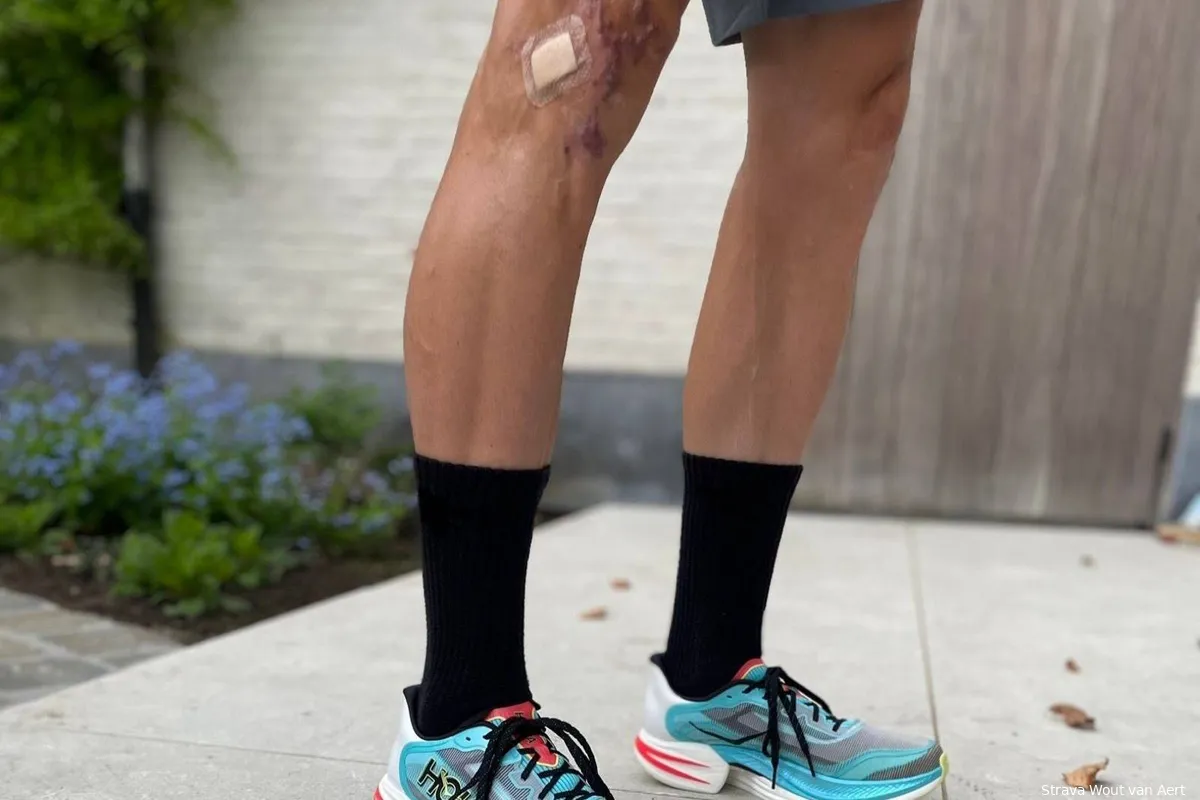 wout van aert