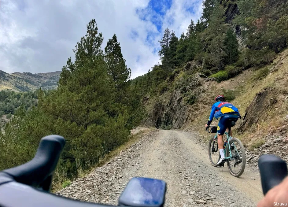 gesink