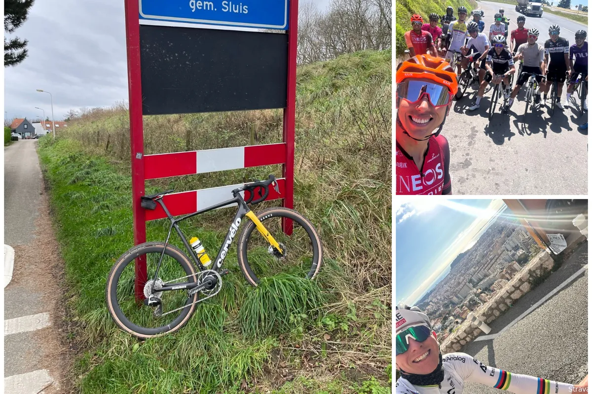 van aert pogacar bernal