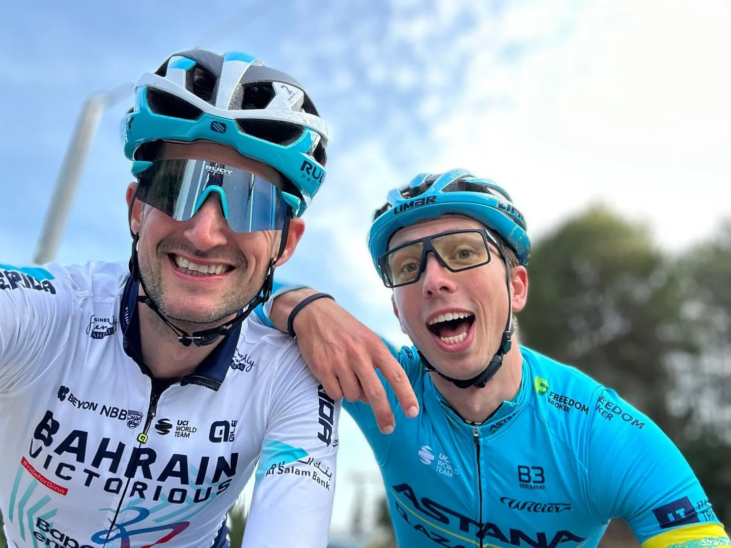 wout poels ide schelling