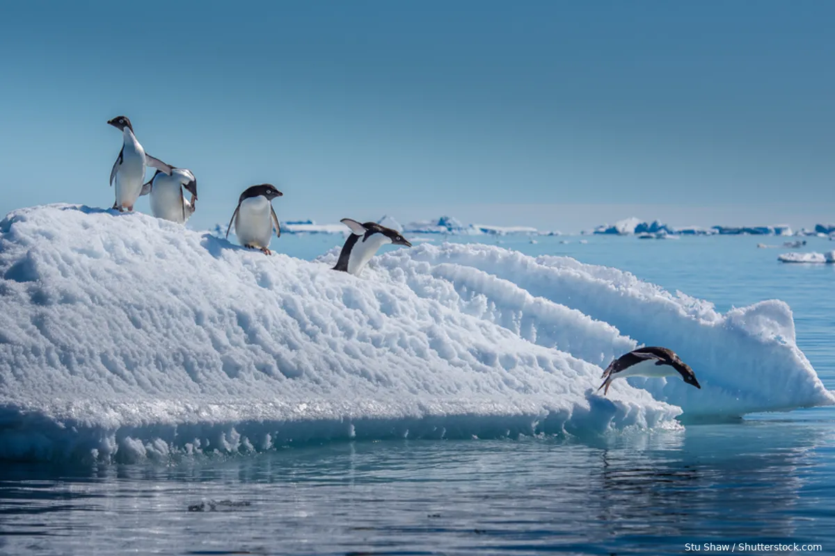 Fear as a political tool: The greatest threat to our society is climate activism