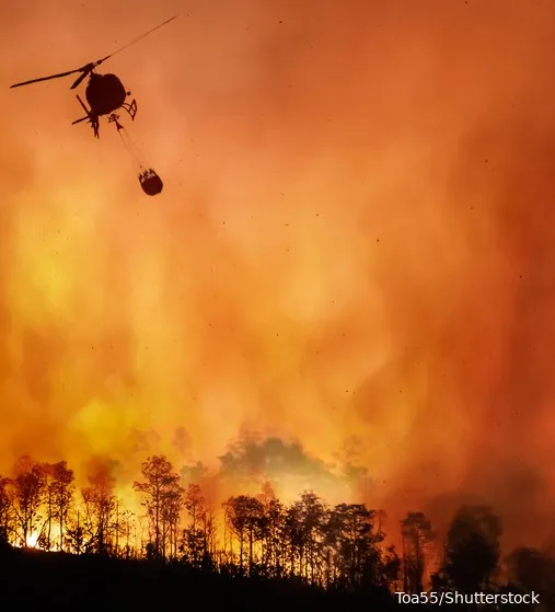 Paniek! Experts waarschuwen voor onbeheersbare natuurbranden in Nederland