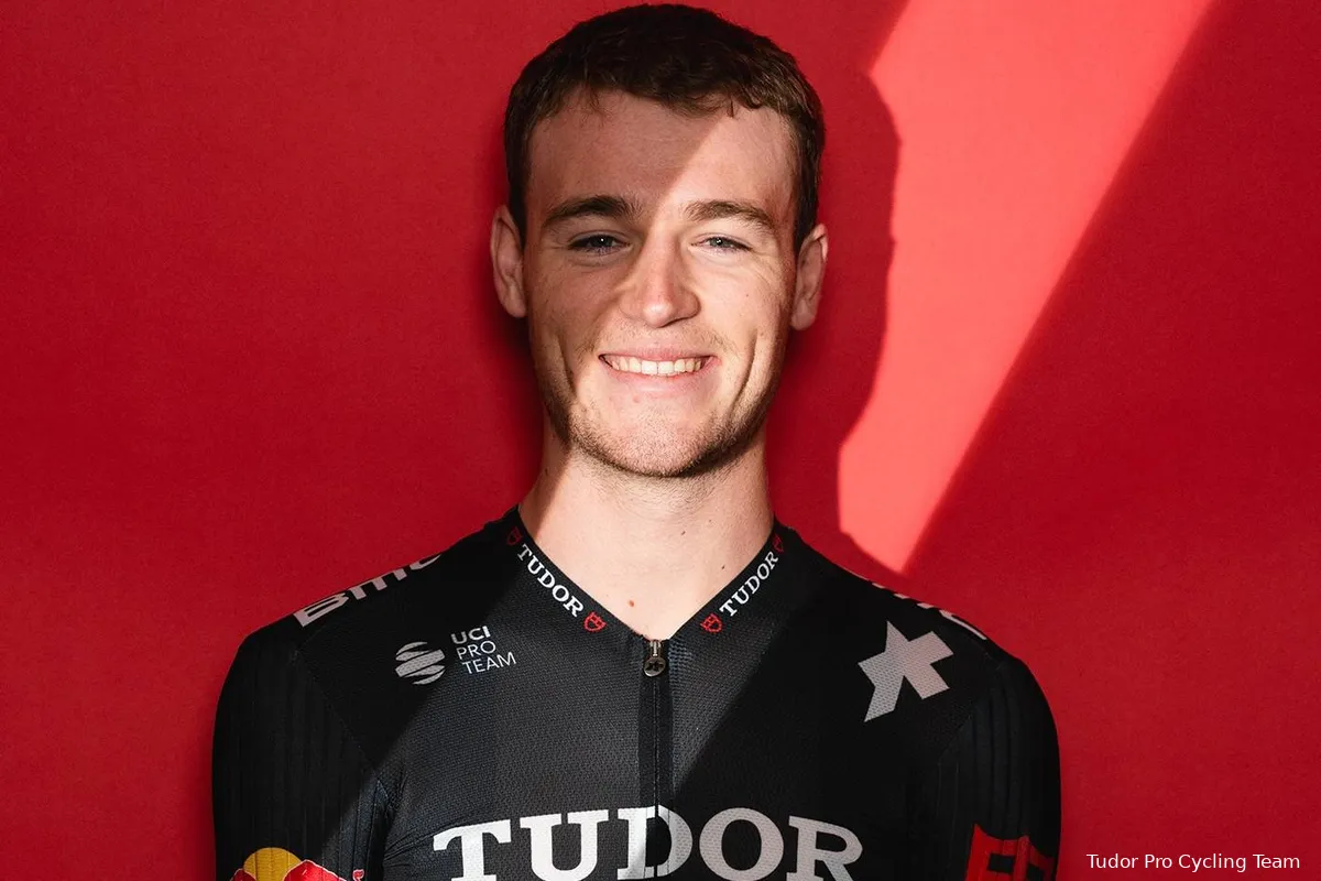 maikel zijlaard