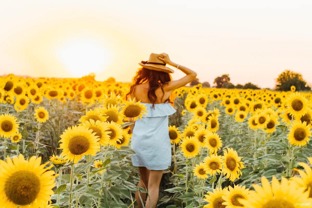 Voldoe jij aan de Golden Triangle of Happiness?