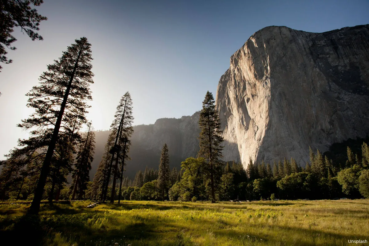 adam kool ndn00kmbj1c unsplash