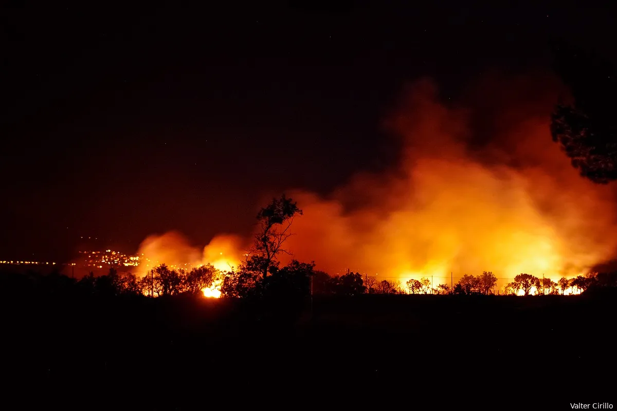 Extreme droogte en massale bosbranden hebben gezorgd voor de vernietiging van 2,5 miljard bomen in Amazone