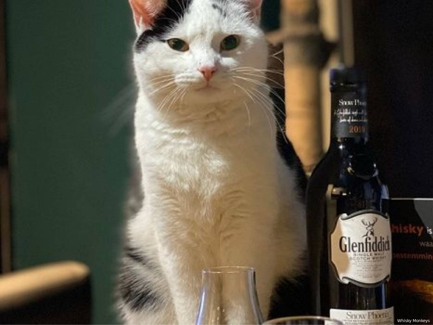 Tien toffe ijsblokjes om de beste whisky cocktails koel te drinken