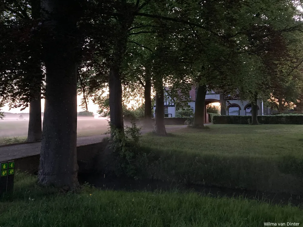 Schoonderlogt in het vroege ochtendzonnetje