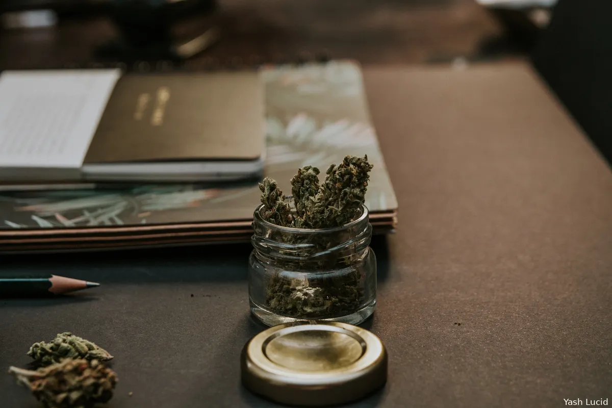 Onderzoekers vinden mogelijkheid voor medisch cannabis gebruik zonder bijwerkingen