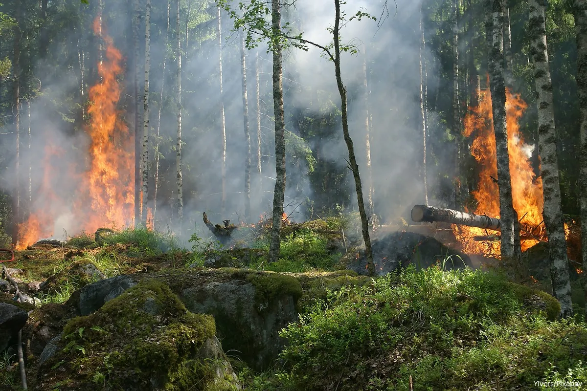 Wetenschappers slaan alarm: 'Klimaat is drempel overgegaan, extremere temperatuurstijging dan verwacht'