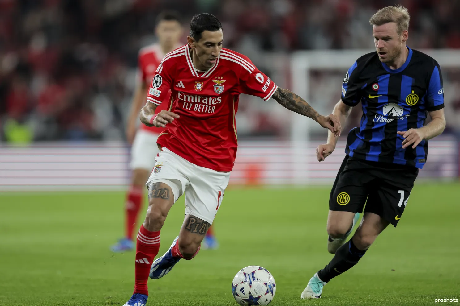 davy klaassen inter benfica