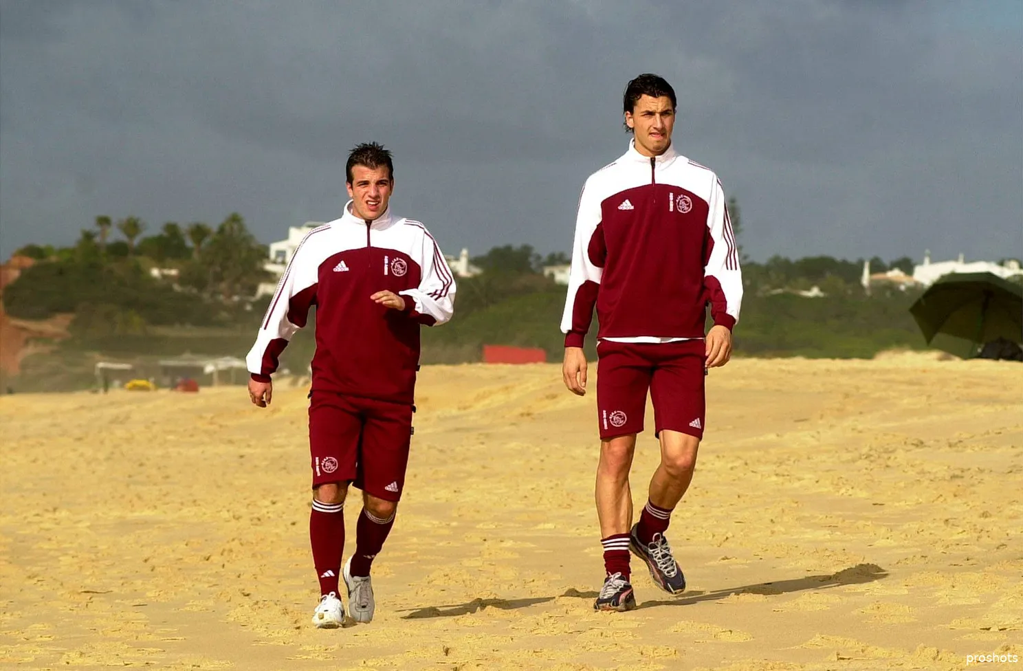 vandervaart zlatanibrahimovic