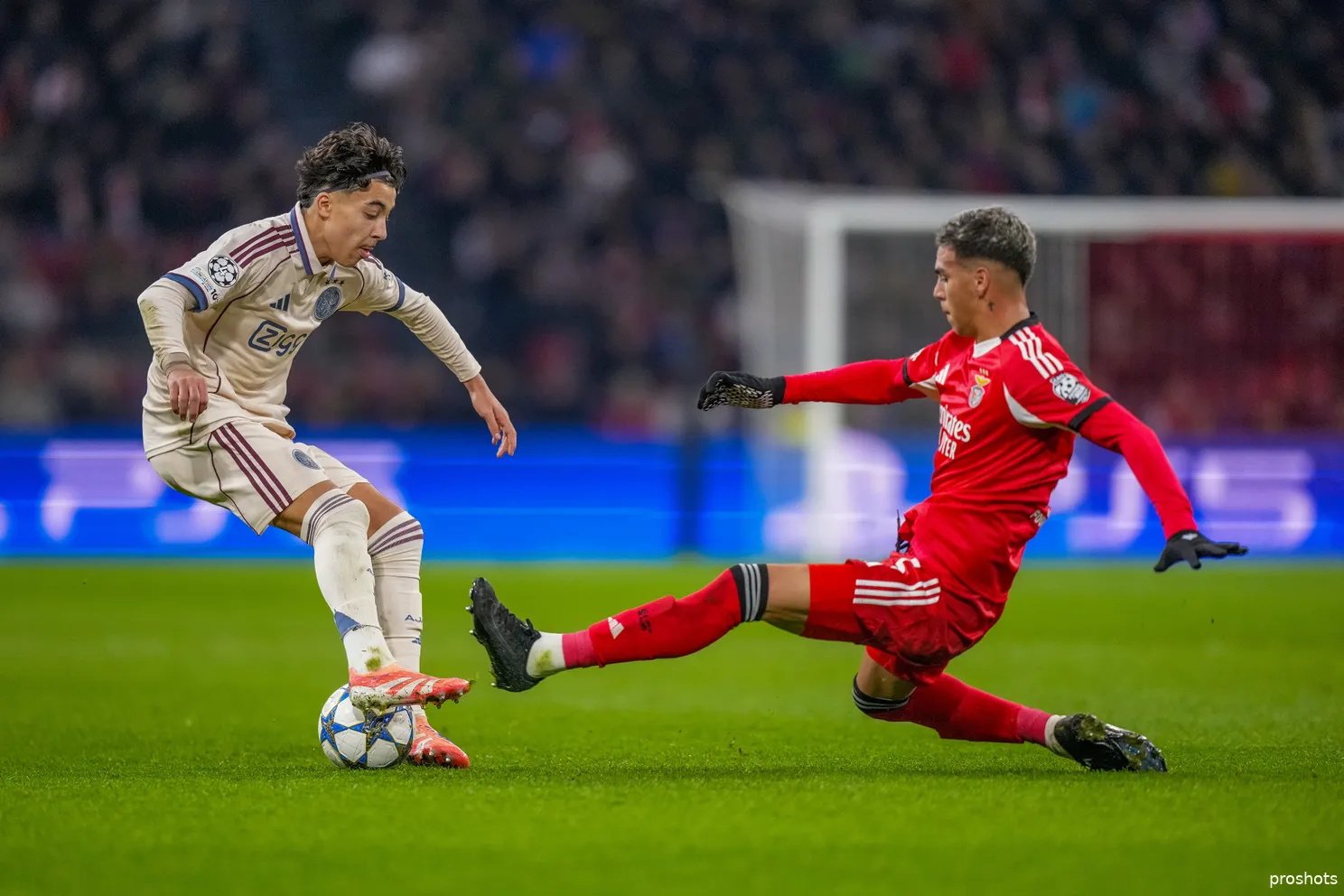 rayane bounida Ajax Benfica 25/26