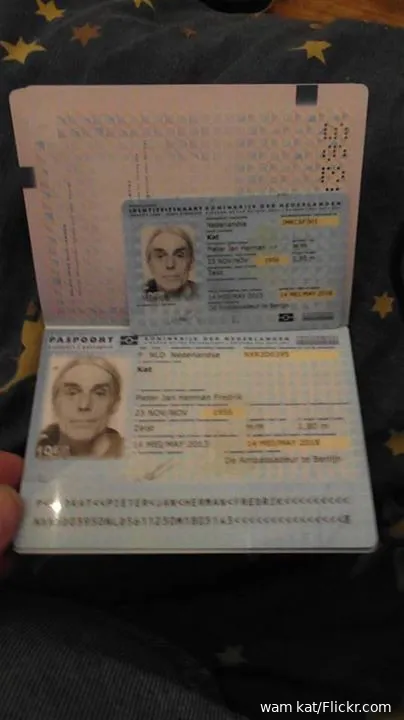Corruptie viert hoogtij in Nederland: oud-ambtenaar vervalste paspoort voor Taghi