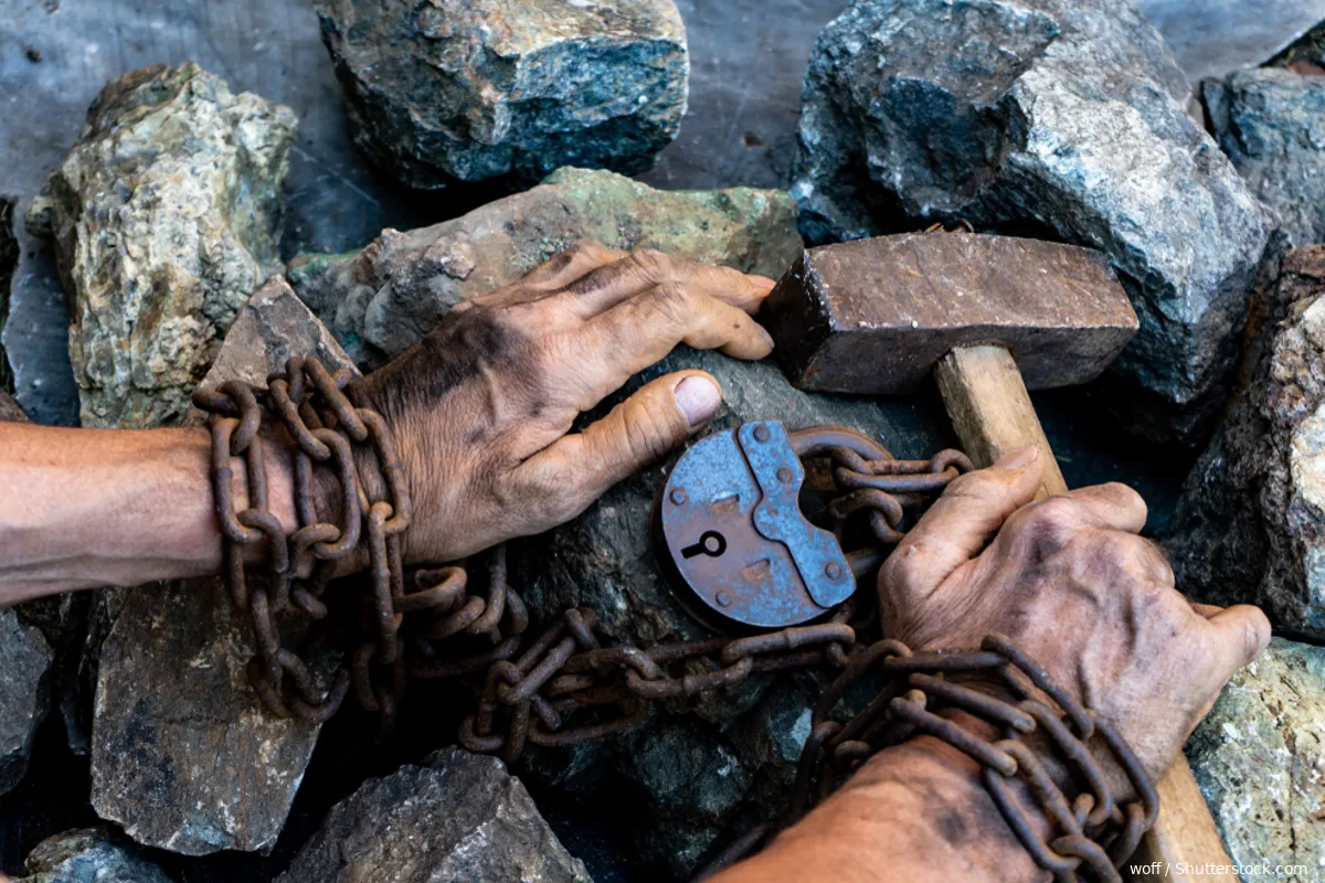 Bizarre! Classroom slavery curriculum talks white children into guilt complex