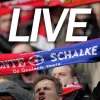 LIVE: FC Twente - FC Schalke 04 (1-0)
