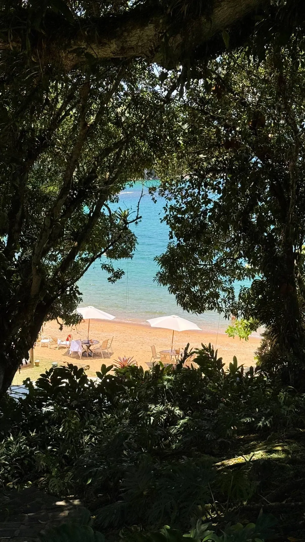 <p class="MsoNormal">Foto: Instagram @kellypiquet<o:p></o:p></p>