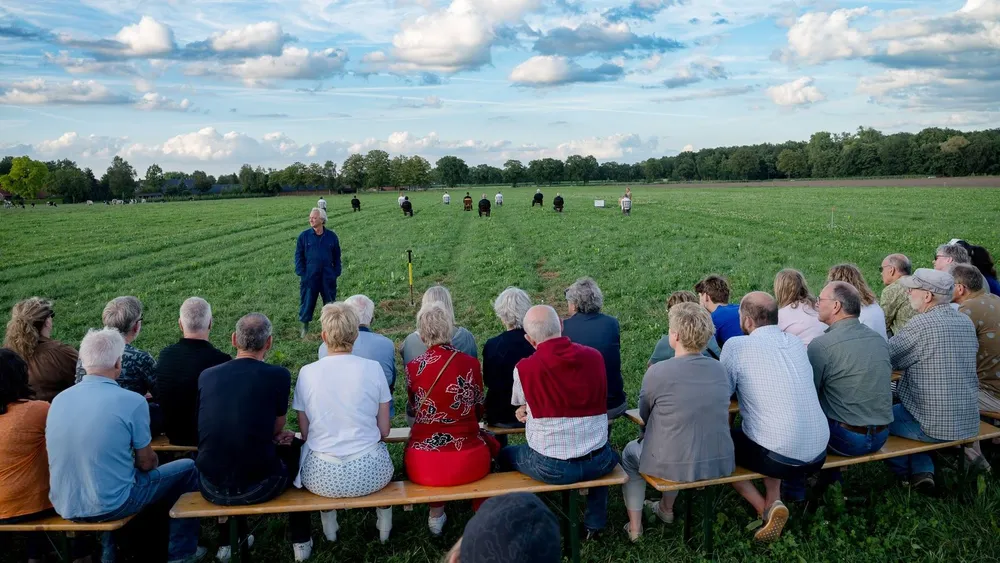 Iets met Boeren