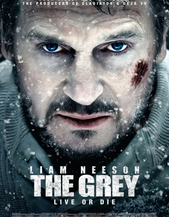 The Grey