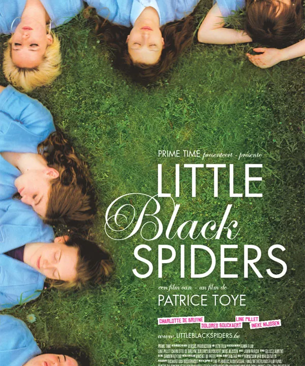 Little Black Spiders