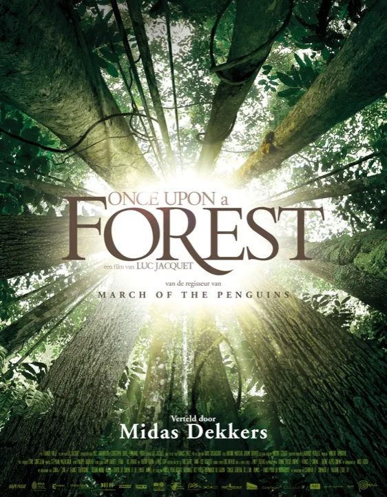 Once Upon a Forest