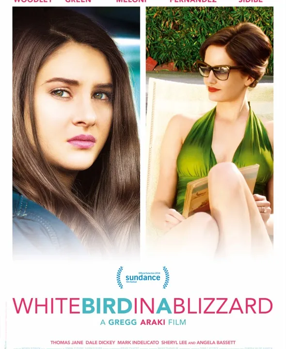 White Bird in a Blizzard