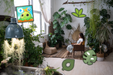 5 beste apps om voor je kamerplanten te zorgen (2023)