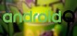 Vroege versie Android Q gelekt: donker thema en desktopmodus