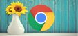 Google Chrome 81-update volgt in april, na coronavirus-vertraging