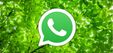 WhatsApp Beta komt met vakantiemodus die gearchiveerde chats negeert