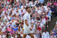 'They Want To Win, But It Ain't Happening': Djokovic Steals the Show With Statement At Wimbledon