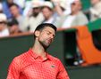 Djokovic Sparks Elbow Injury Fears In Monte Carlo