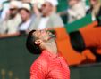 "Djokovic has been on emotional rollercoaster" according to Henin