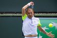 Evans 'Not Interested How Doctor’s Son Does' in Call for More Tennis Diversity